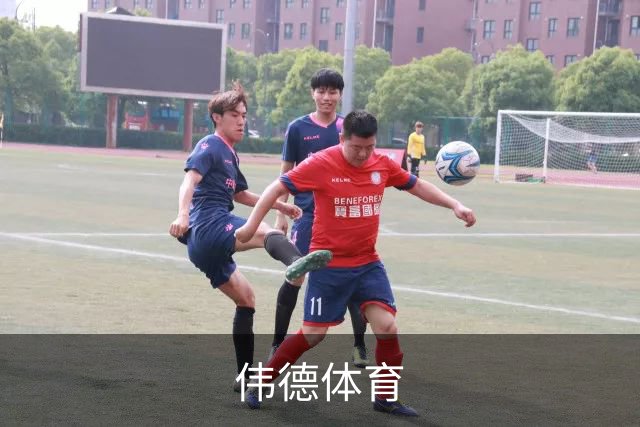 关于伟德体育